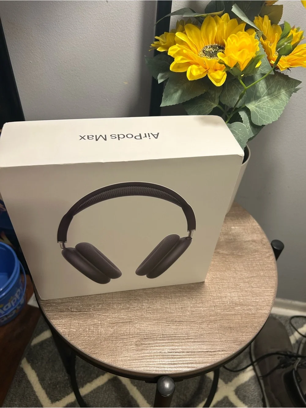Apple AirPods Max - Space Gray Over-Ear Headphones